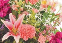 For The Home Image